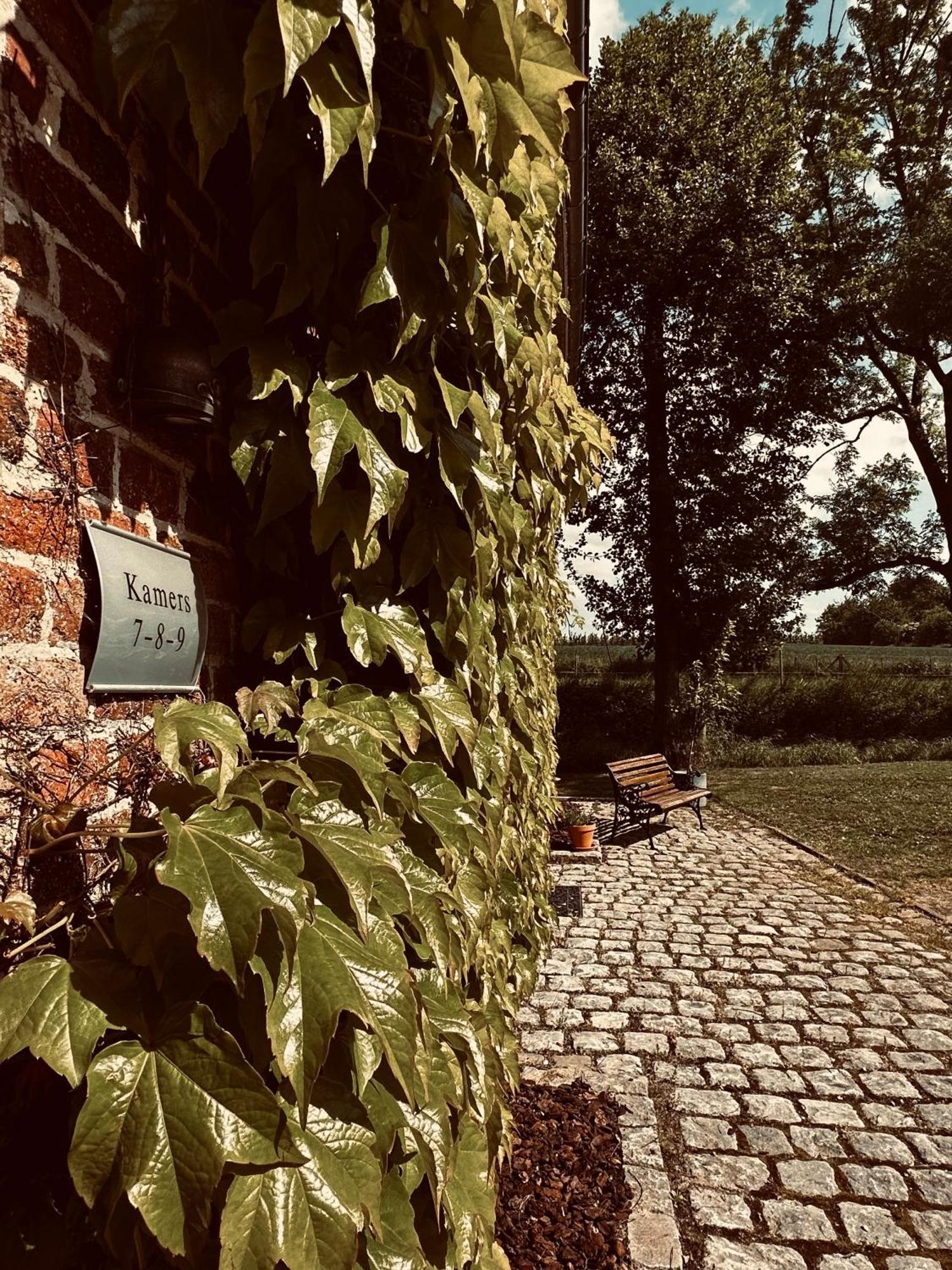 De Verborgen Parel B&B Борглон Экстерьер фото